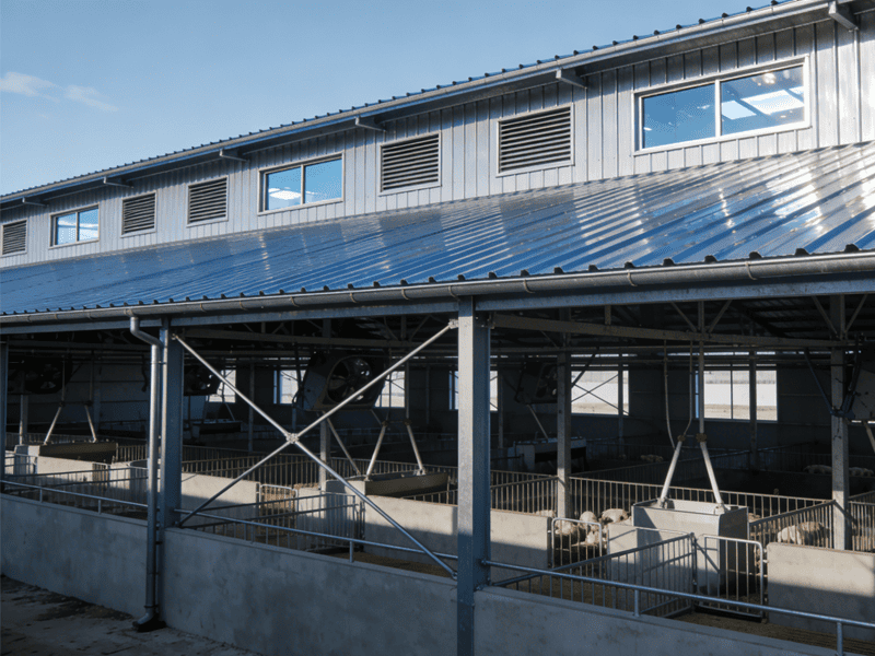 What Makes a Steel Frame Farm the Best Choice for Modern Agriculture?