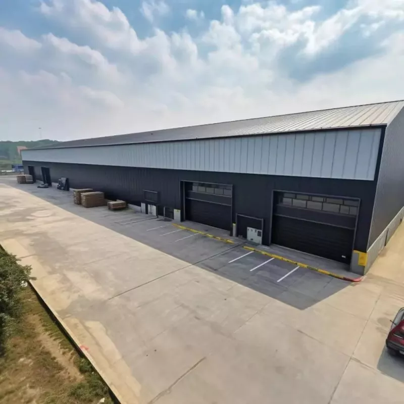 Large Span Steel Structure Warehouse